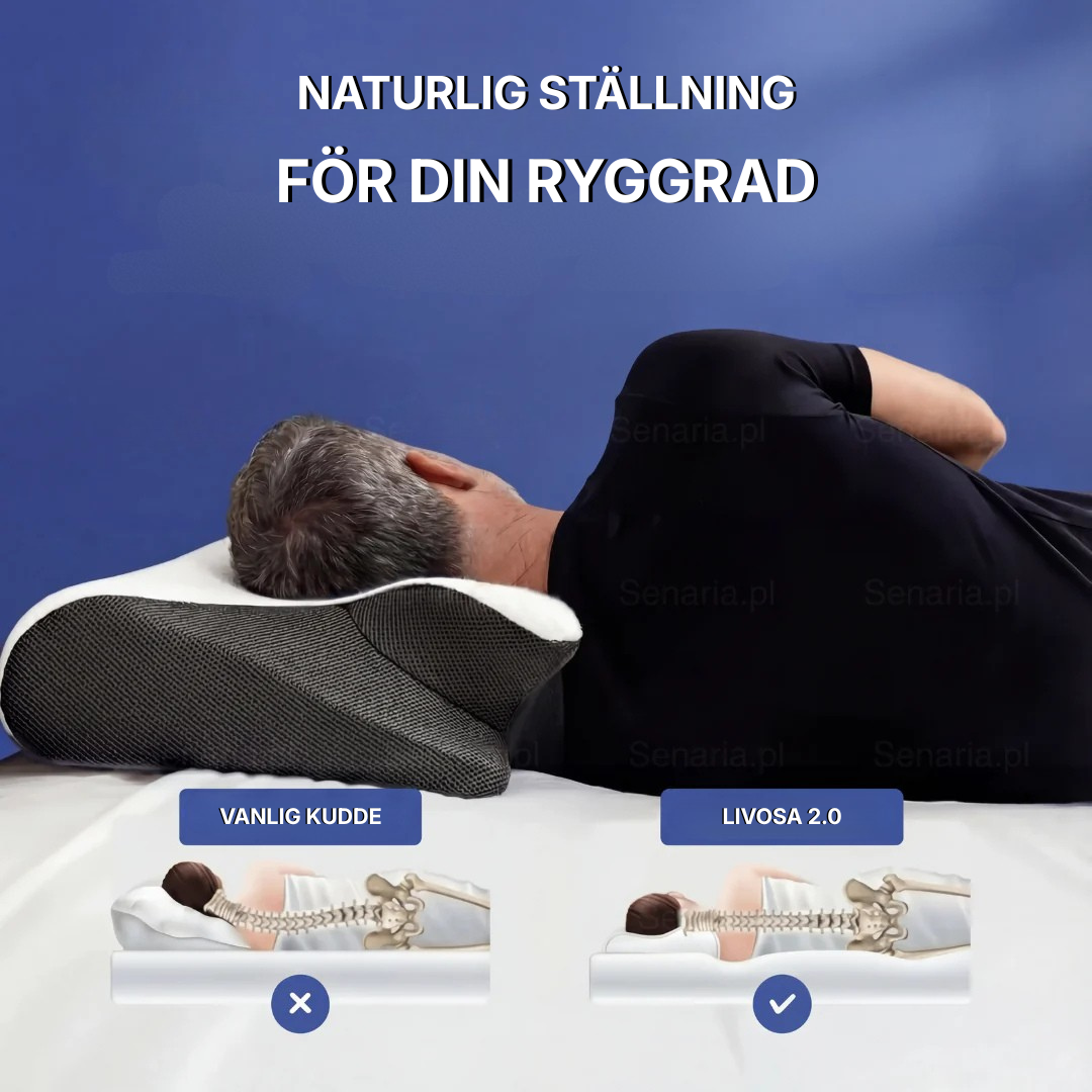 LIVOSA - Ortopedisk stödkudde 2.0