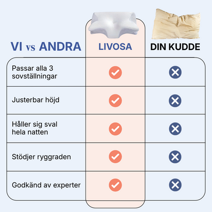 Livosa - Ortopedisk stödkudde 2.0